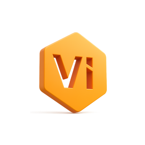 Logo VU_IBO